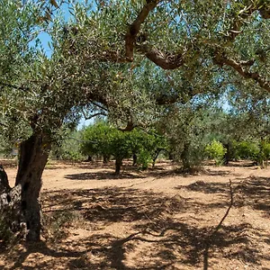  Casa vacanze In Campagna A